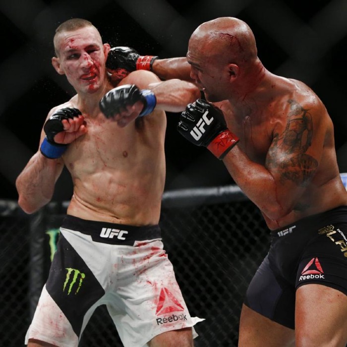 scommesse ufc