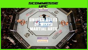 come funzionano le regole della UFC