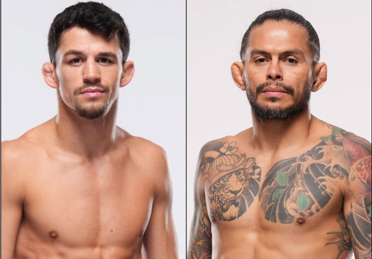 pronostico-ufc-diego-ferreira-vs-billy-quarantillo